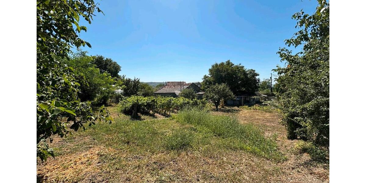 Einfamilienhaus Bonn Tannenbusch - 40.000&euro; | Angebot:23581707