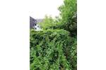Grundstück Köln Weiden - 250.000&euro; | Angebot:26826391