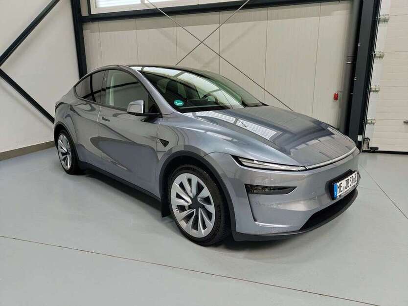 Model Y