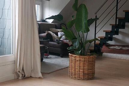 Wohnung Odenthal - 3 Zimmer, 78 m&sup2;, 239.000&euro; | Angebot:26940144