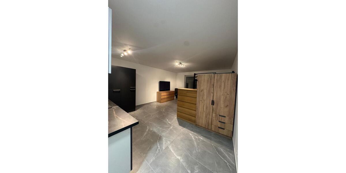 Appartement Wohnung mit Rheinblick komplett Möbilierz 1 zimmer