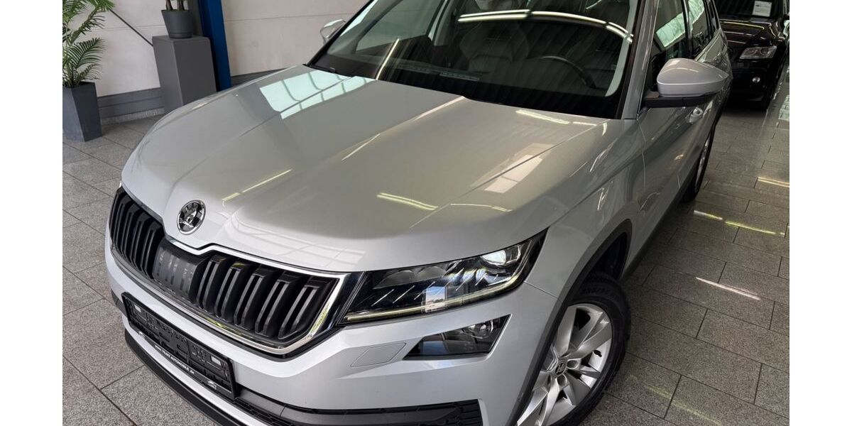 Skoda Kodiaq 168.800 km 19.790 &euro; Köln 50829