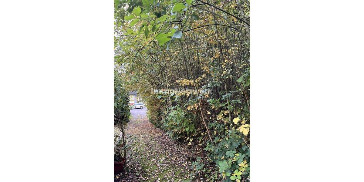 Grundstück Odenthal Blecher - 310.000&euro; | Angebot:24751799