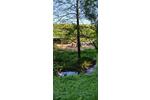 Charmanter Hof mit Boxen, Laufstall und Paddocktrail