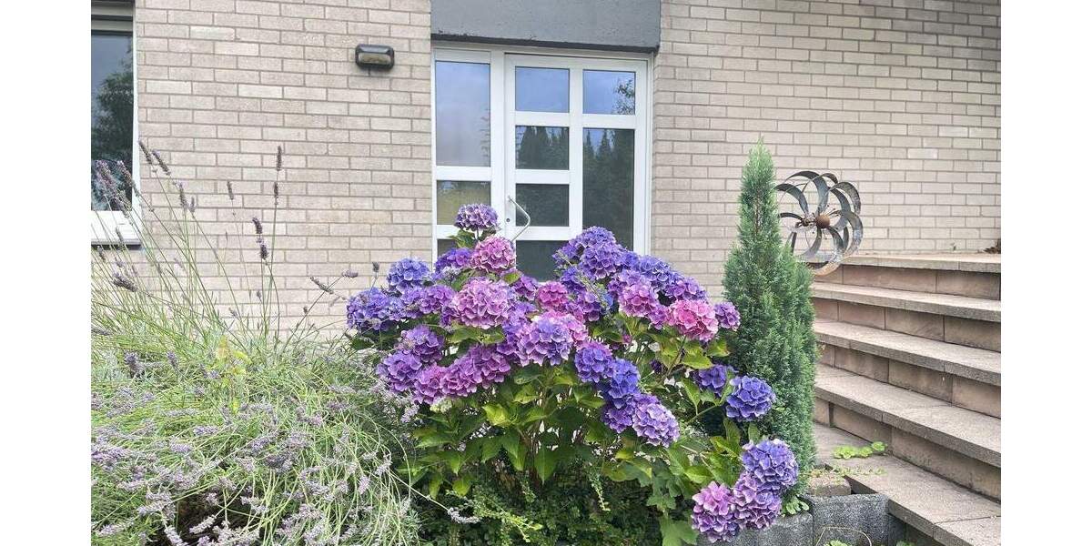 Doppelhaushälfte Odenthal Blecher - 5 Zimmer, 121 m&sup2;, 390.000&euro; | Angebot:25423855