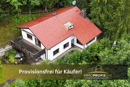 Provisionsfrei: Großes Einfamilienhaus mit EinliegerWohnung Doppelgarage & Traumgrundstück Ramsbeck