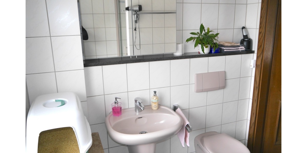 SG, freist. EFH, 5 Zi., 160m² Wfl., 747 GrSt., 2x Doppel-Grg.+CP, Keller, Terr. Stellpl. 5 zimmer