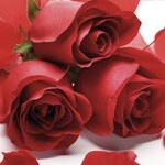 Liebesliederwalzer - Johannes Brahms