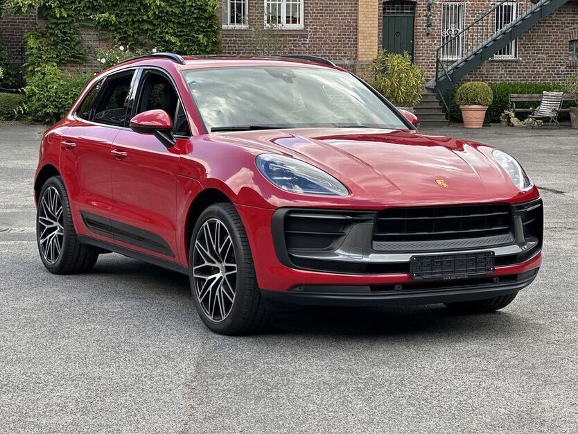 Macan