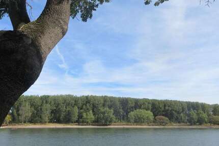 Wohnung zum Mieten in Bonn 690 € 60 m² 2.5 zimmer