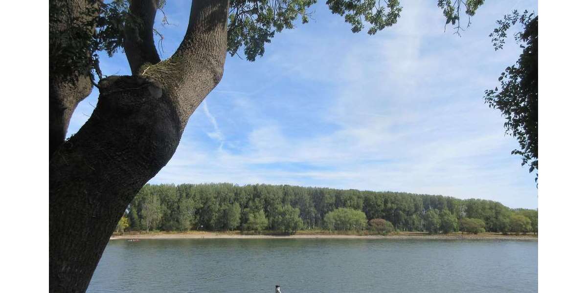 Wohnung zum Mieten in Bonn 690 € 60 m² 2.5 zimmer