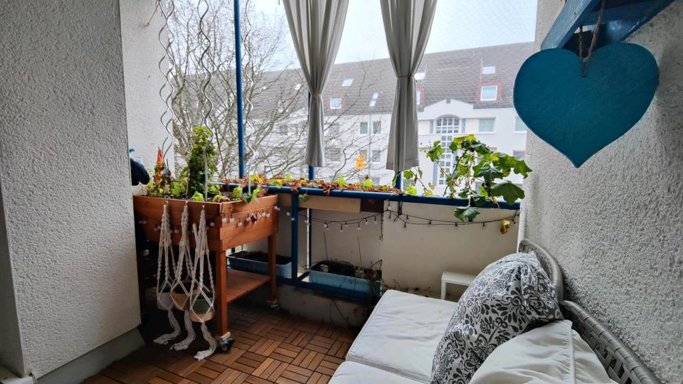 Befristete Untermiete - möblierte Wohnung - inkl. 2 Katzen 3 zimmer