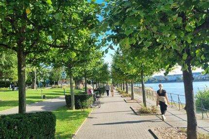 Mega Lage! Helle 3 Zimmer Wohnung (74qm) + Balkon+Garage in Beuel 3 zimmer