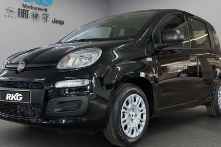 Fiat Panda 4.500 km 13.875 € Bonn 53119