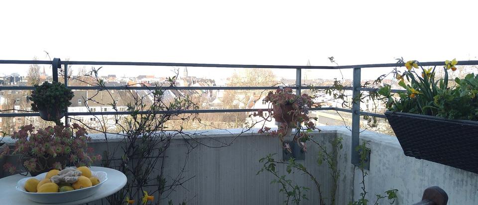 Etagenwohnung Köln Nippes - 1 Zimmer, 20 m&sup2;, 300&euro; | Angebot:25403028