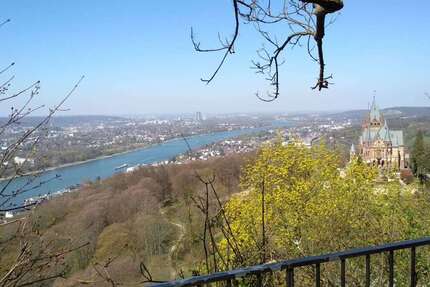 Wohnung Bonn Beuel-Mitte - 1 Zimmer, 26 m&sup2;, 315&euro; | Angebot:26924995