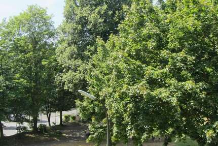 Wohnung Alfter / Bonn Bonn - 2 Zimmer, 57 m&sup2;, 239.000&euro; | Angebot:25917128