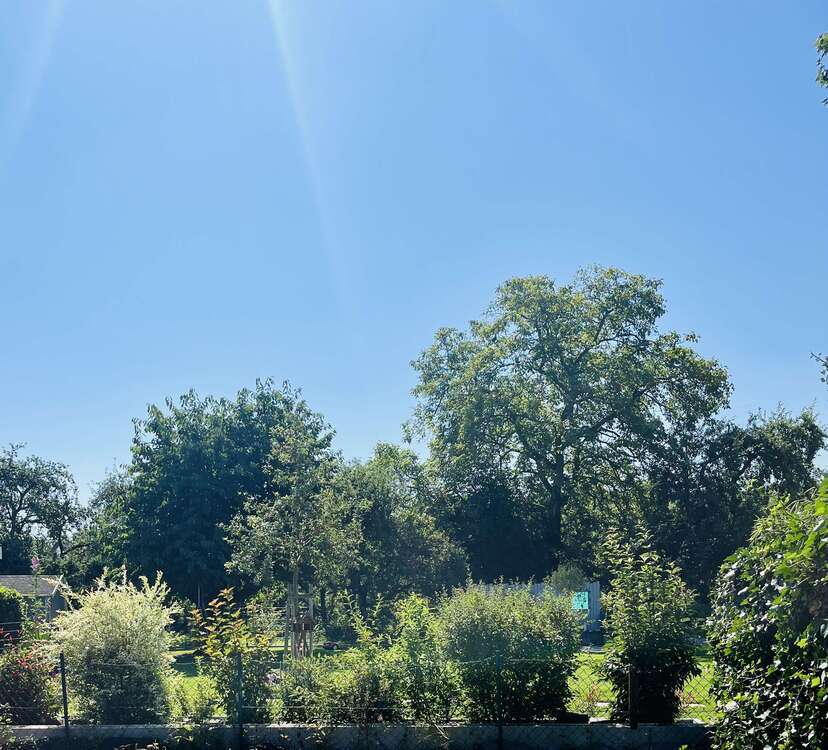 Grundstück zu verkaufen in Köln 333.000 € 417 m²