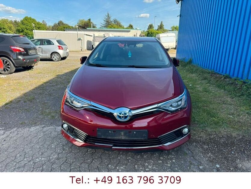 Auris
