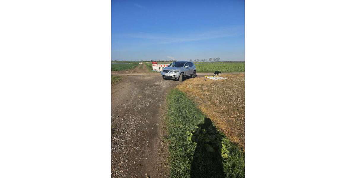 Nissan Murano 229.000 km 4.400 &euro; Erftstadt 50374