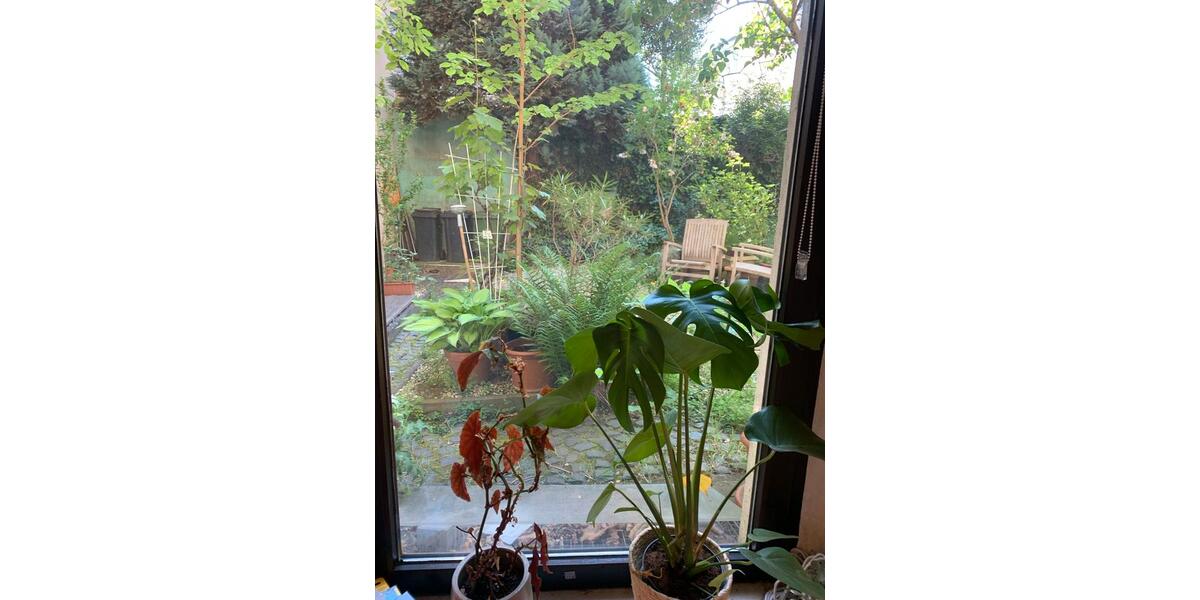 Gewerbeobjekt Bonn - 150&euro; | Angebot:26481476