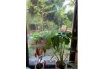 Gewerbeobjekt Bonn - 150&euro; | Angebot:26481476