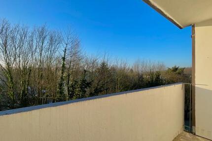 Wohnung Leverkusen Alkenrath - 1 Zimmer, 42 m&sup2;, 420&euro; | Angebot:22705347