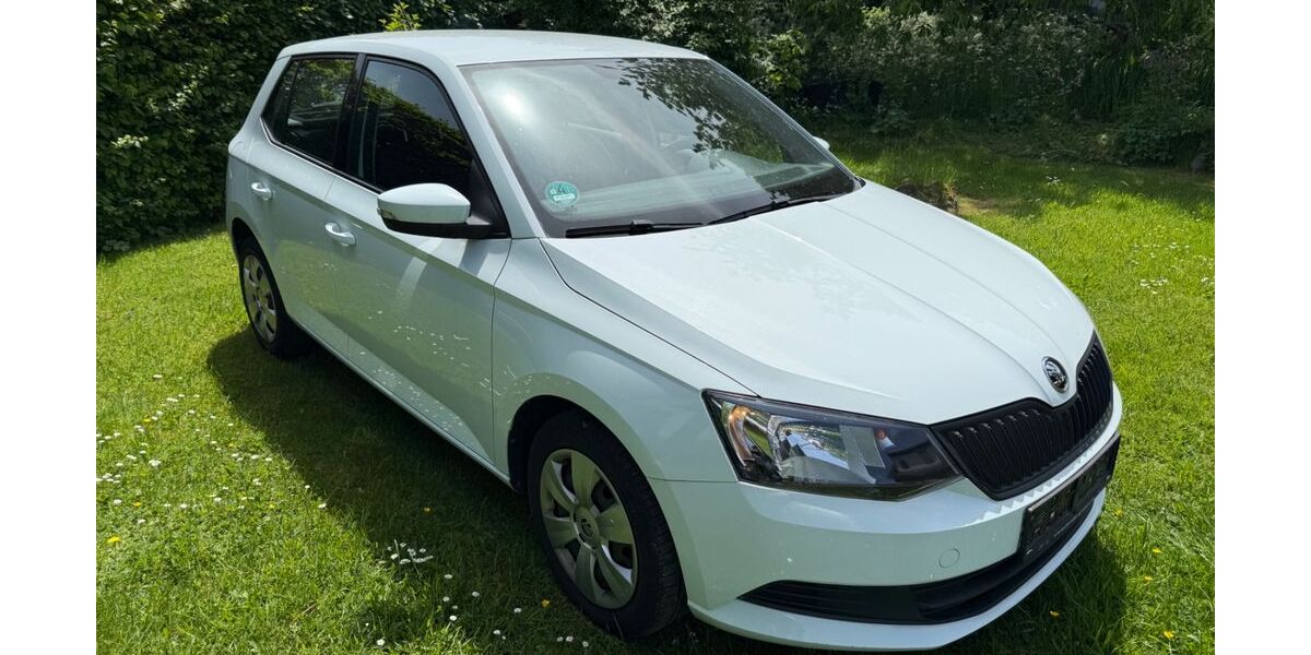 Skoda Fabia 20.576 km 7.800 &euro; Siegburg 53721