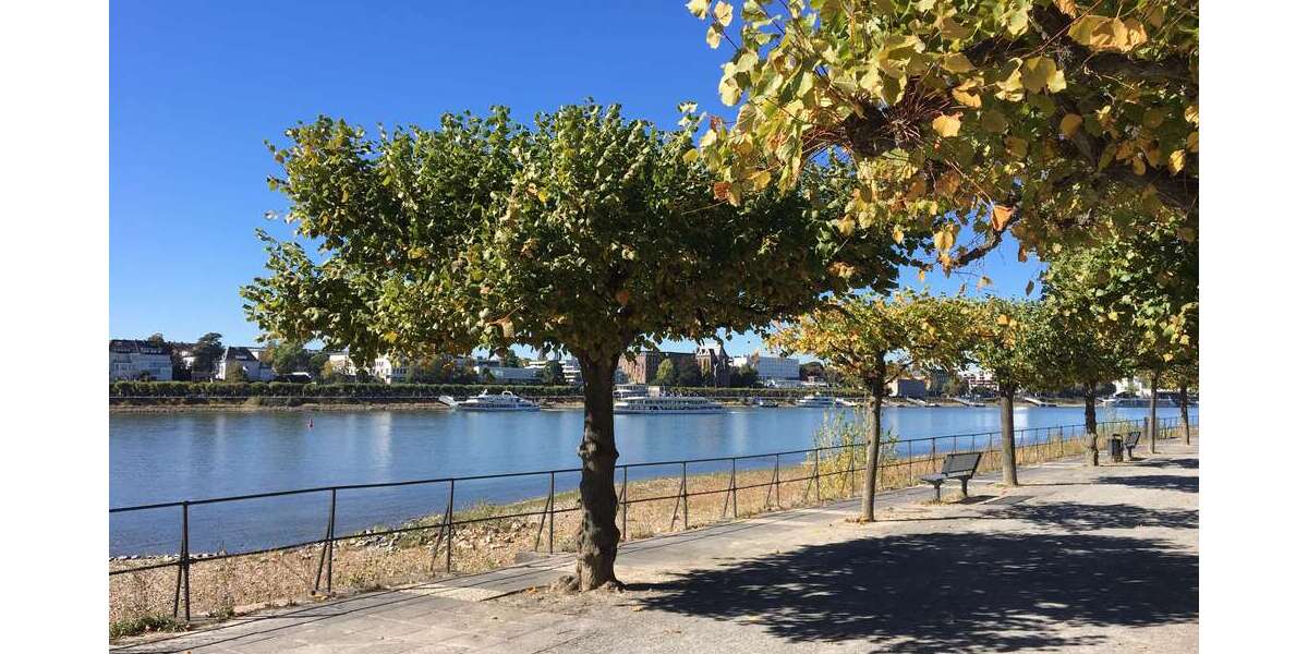 Etagenwohnung Bonn-Beuel Beuel - 2 Zimmer, 52 m&sup2;, 218.000&euro; | Angebot:26318216