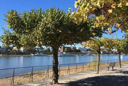 Wohnung Bonn-Beuel Beuel - 2 Zimmer, 52 m&sup2;, 218.000&euro; | Angebot:26318216