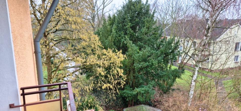 Etagenwohnung Leverkusen - 4 Zimmer, 114 m&sup2;, 295.000&euro; | Angebot:25306641