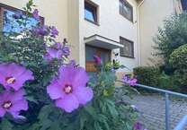 Wohnung zum Kaufen in Bonn 152.000 € 50 m²