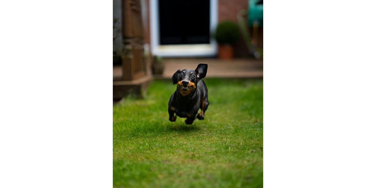 Ohne Eigenkapital möglich. Mietkaufimmobilie abzugeben. 5 zimmer