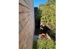 Bungalow Langenfeld (Rheinland) - 4 Zimmer, 100 m&sup2;, 540.000&euro; | Angebot:26764636
