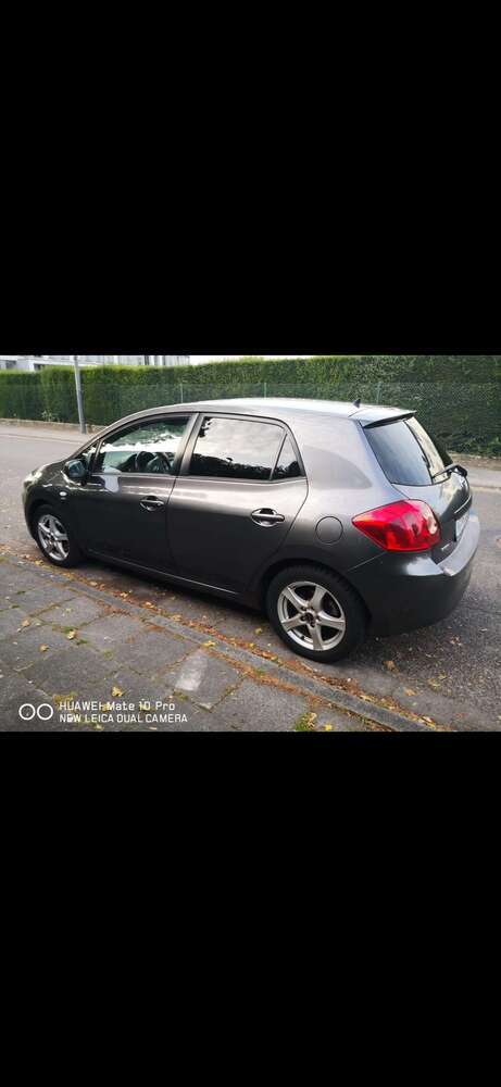 Auris