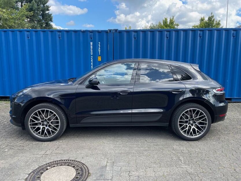 Macan
