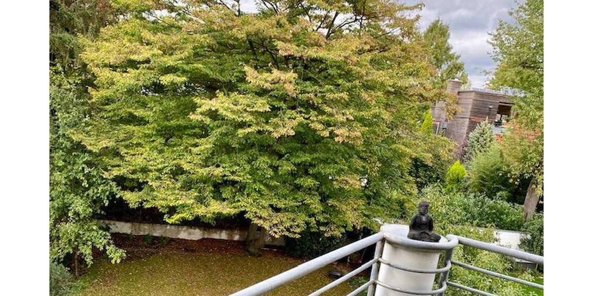 Etagenwohnung Köln Rodenkirchen - 3 Zimmer, 86 m&sup2;, 1.200&euro; | Angebot:26286508