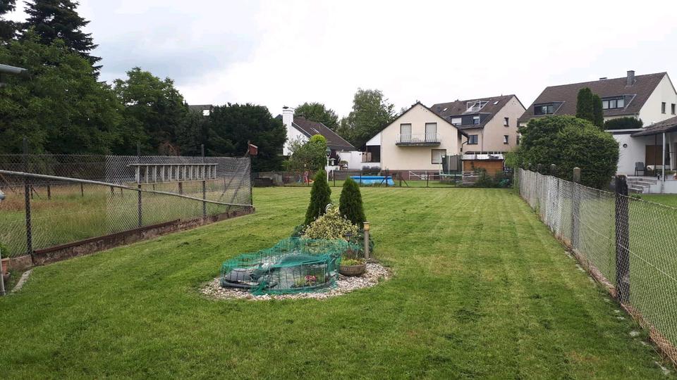 Doppelhaushälfte Leverkusen Bürrig - 3 Zimmer, 140 m&sup2;, 425.000&euro; | Angebot:23395753