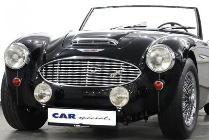 Austin Healey Andere