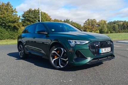 Audi e-tron 48.500 km 32.500 € Zülpich 53909