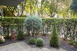 Köln-Junkersdorf, schiclke 3-Zimmer Wohnung mit Kamin, großer Terrasse und TG-Stellplatz - Terrassenwohnung Köln Junkersdorf | Angebot:26181670