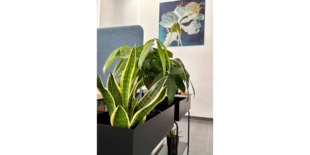 Gewerbeobjekt Brühl - 1.450&euro; | Angebot:26161476