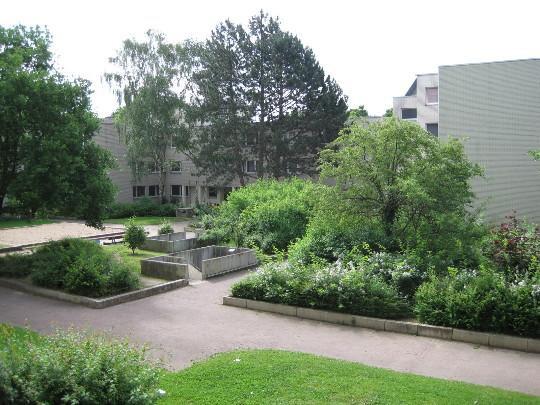 Großzügige Wohnung im Herzen von Bonn-Tannenbusch – frisch saniert und ideal für Familien oder WGs 4 zimmer