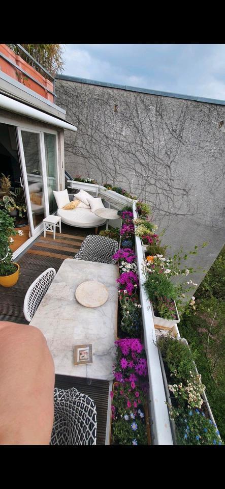 Maisonette Ehrenfeld, barrierefrei, Aufzug, Terrasse