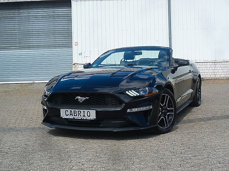 Mustang