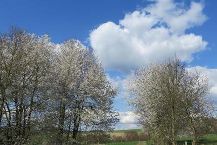 Großes Haus mit Keller und Garten nähe Hennef Uckerath zimmer