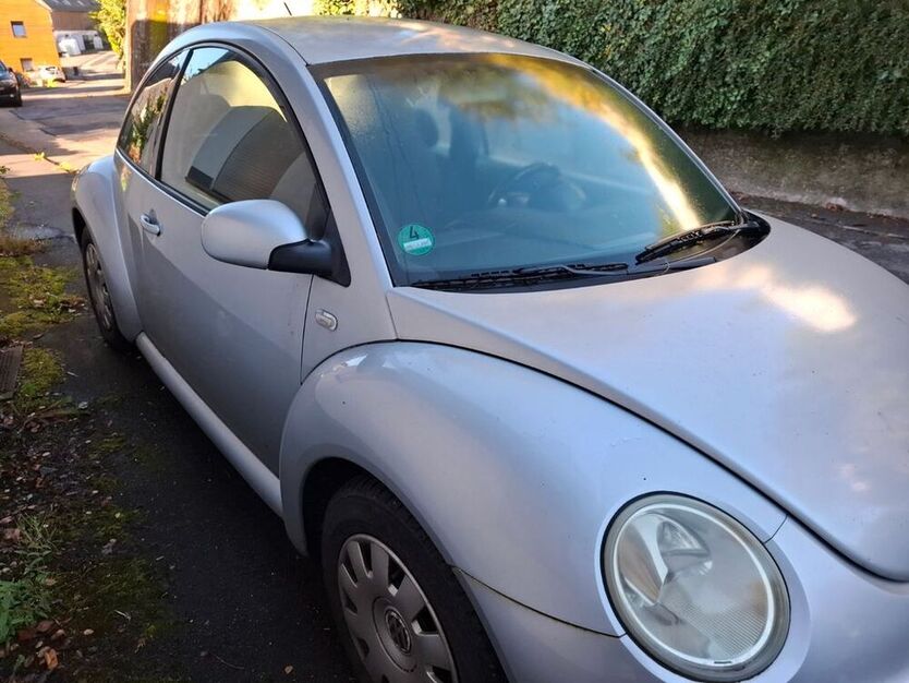 Beetle