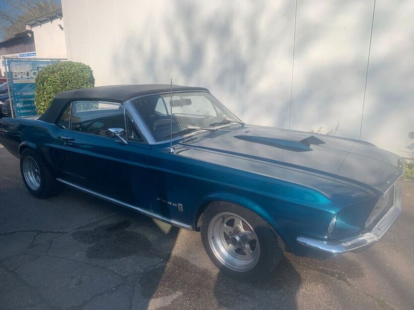 Mustang