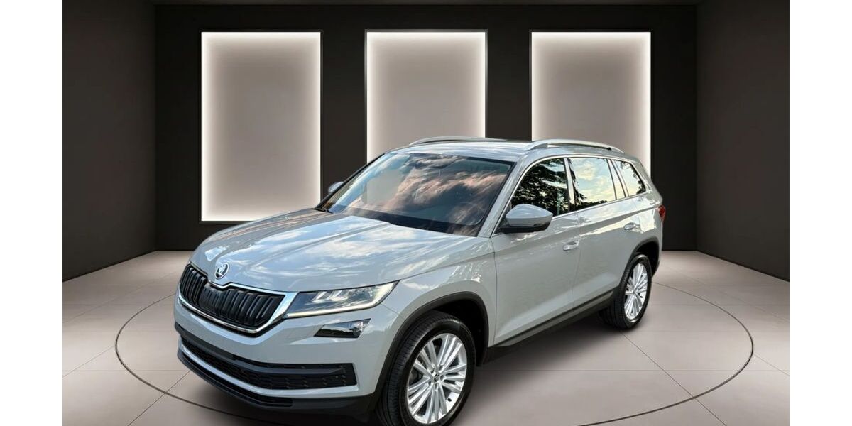 Skoda Kodiaq 135.600 km 20.499 &euro; Hilden 40724