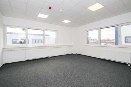 Büro in Hilden 2.383,50 € 227 m² zimmer